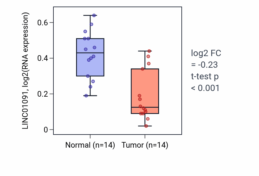 Tumor-vs-normal expression box plot for LINC01091 RNA in THCA.