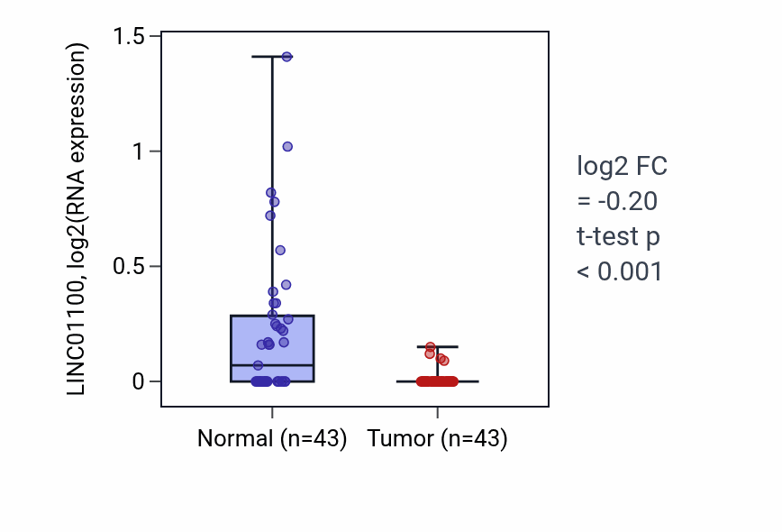 Tumor-vs-normal expression box plot for LINC01100 RNA in HNSC.