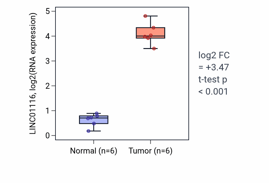 Tumor-vs-normal expression box plot for LINC01116 in HNSC.