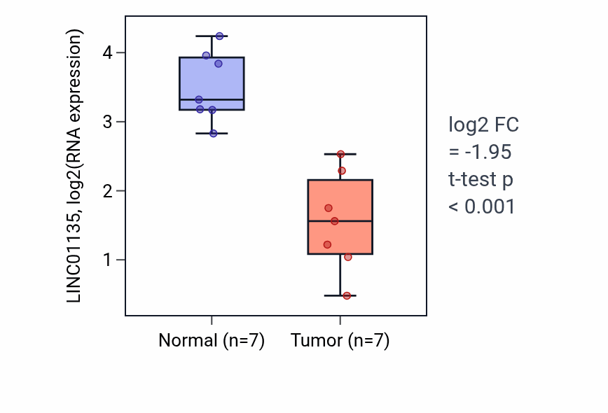 Tumor-vs-normal expression box plot for LINC01135 RNA in THCA.