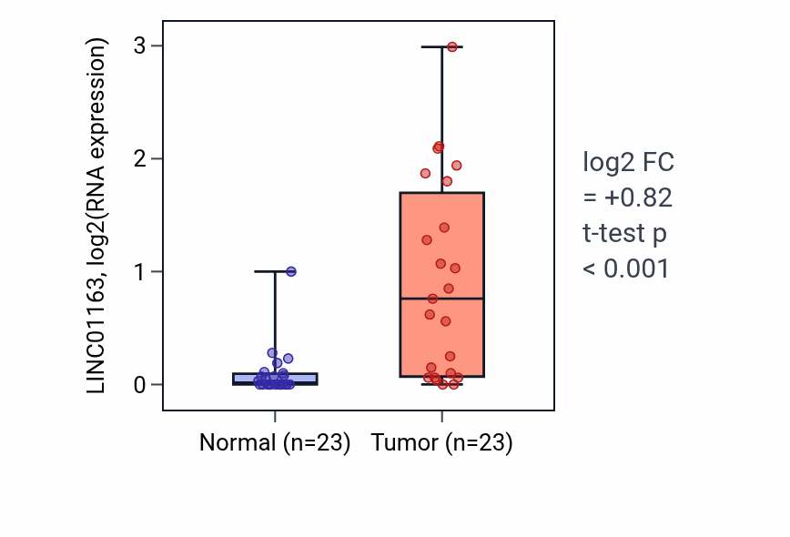 Tumor-vs-normal expression box plot for LINC01163 RNA in UCEC.