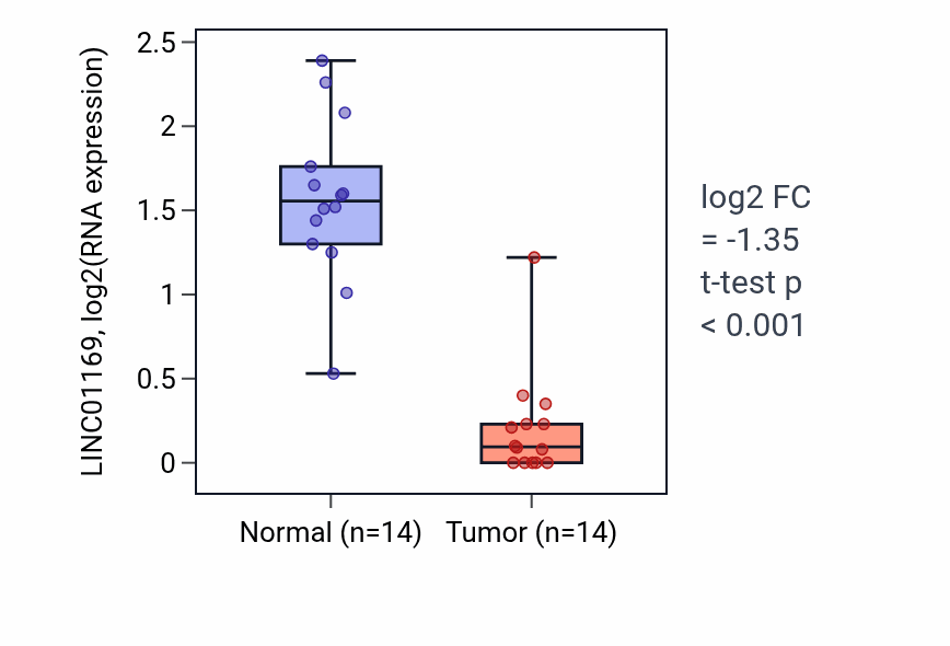Tumor-vs-normal expression box plot for LINC01169 in LUSC.