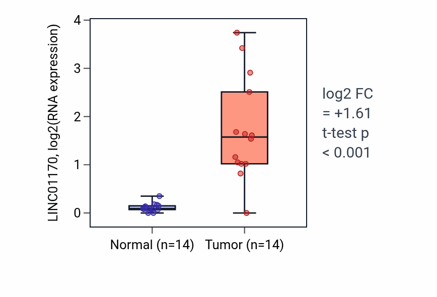 Tumor-vs-normal expression box plot for LINC01170 in THCA.