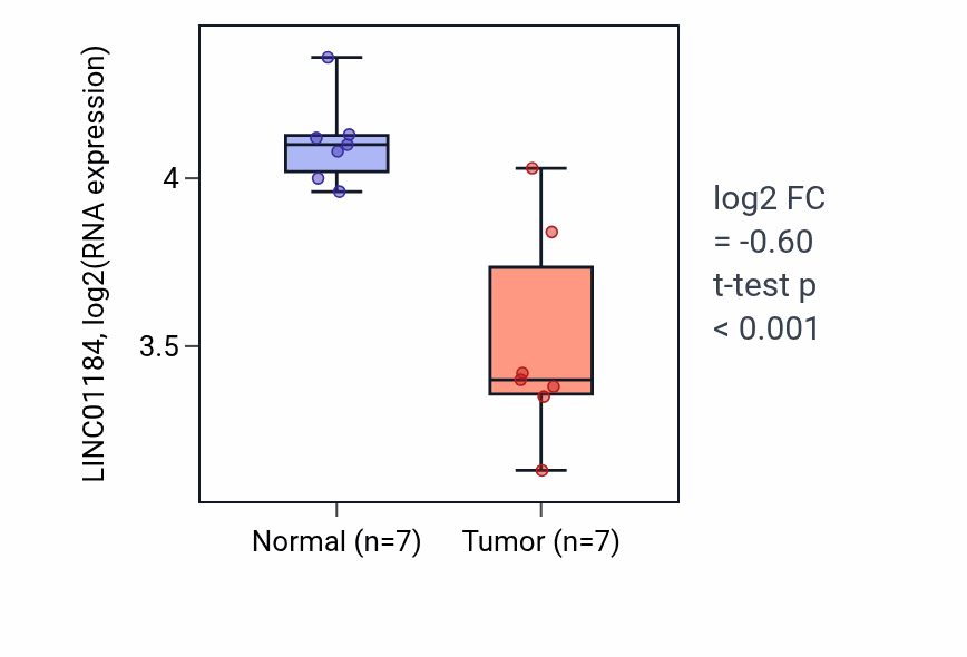 Tumor-vs-normal expression box plot for LINC01184 in THCA.