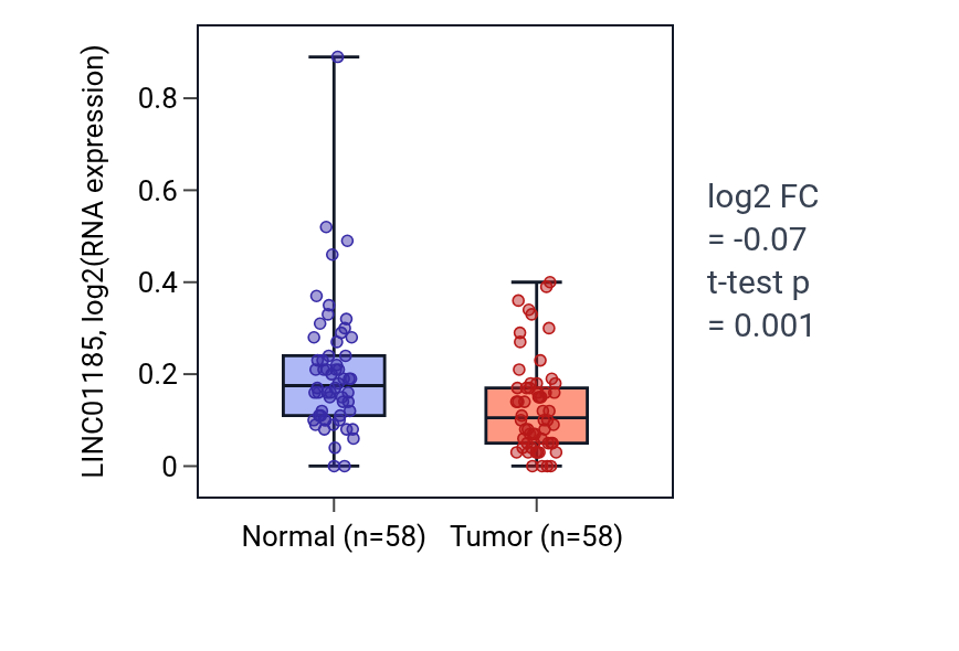 Tumor-vs-normal expression box plot for LINC01185 in THCA.