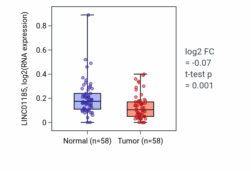Tumor-vs-normal expression box plot for LINC01185 RNA in THCA.