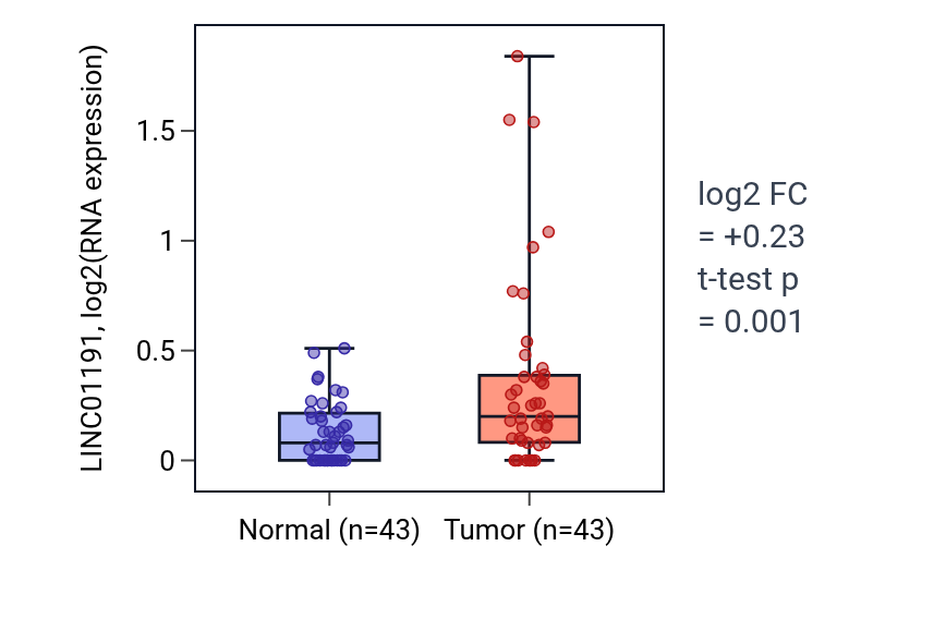 Tumor-vs-normal expression box plot for LINC01191 in HNSC.