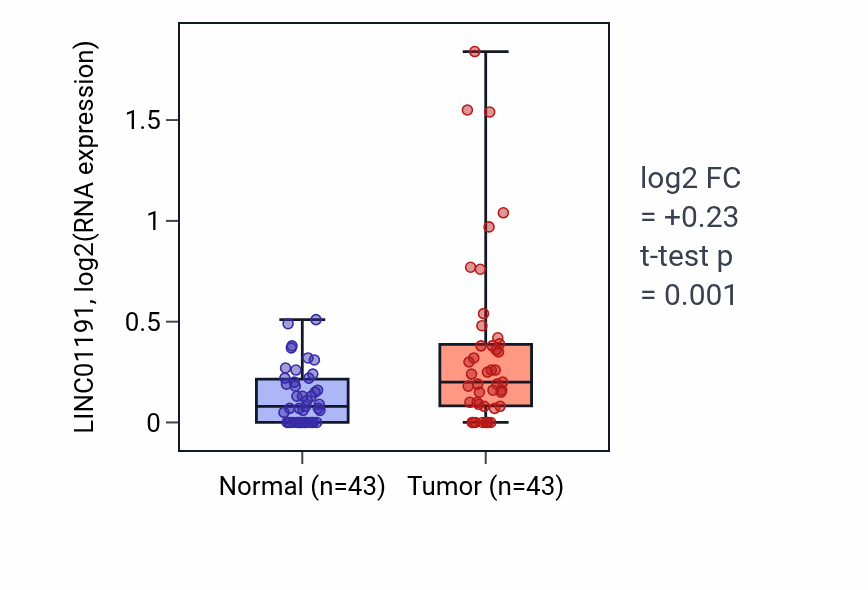 Tumor-vs-normal expression box plot for LINC01191 RNA in HNSC.