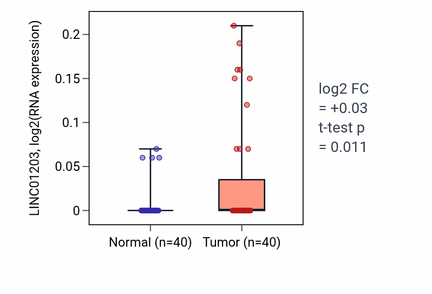 Tumor-vs-normal expression box plot for LINC01203 in HNSC.