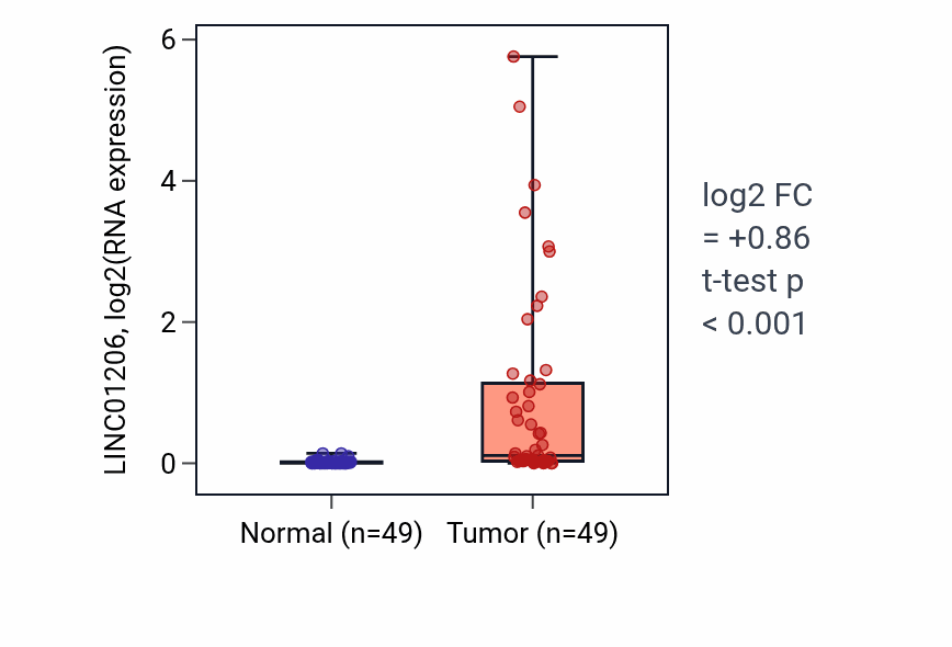 Tumor-vs-normal expression box plot for LINC01206 in LUSC.