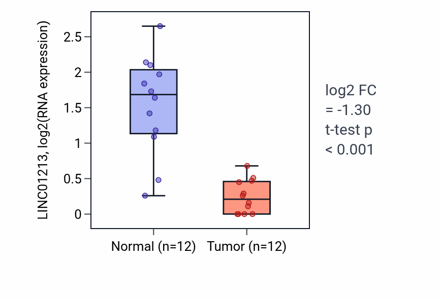 Tumor-vs-normal expression box plot for LINC01213 in KIRC.