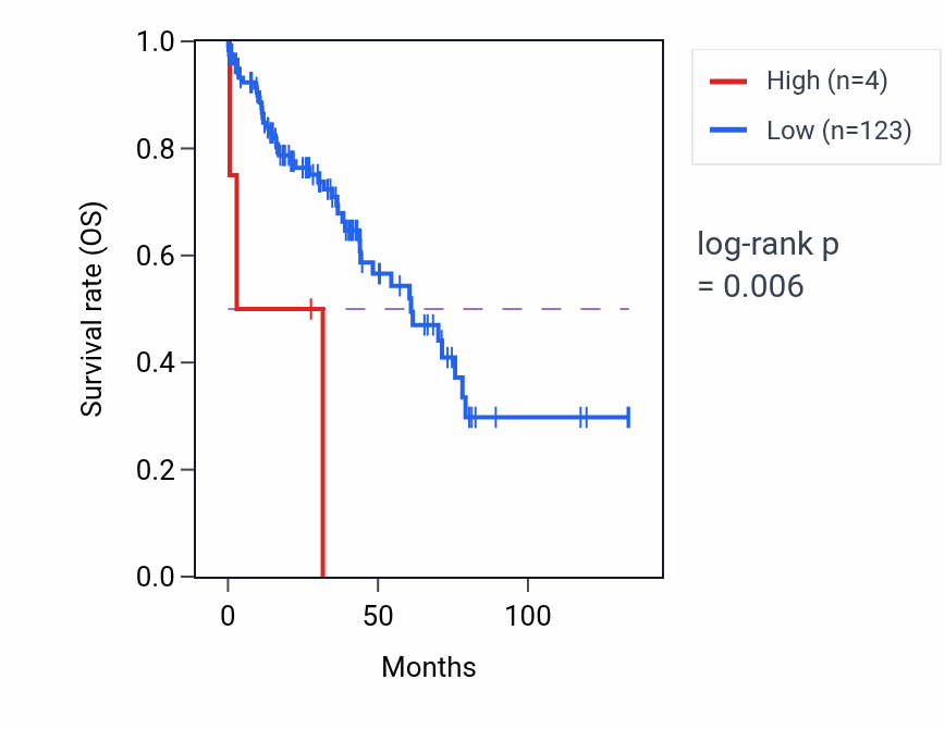 Kaplan&ndash;Meier survival curve for LINC01216 RNA expression in LUSC: high vs low expression groups.