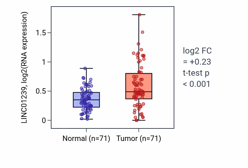 Tumor-vs-normal expression box plot for LINC01239 in KIRC.
