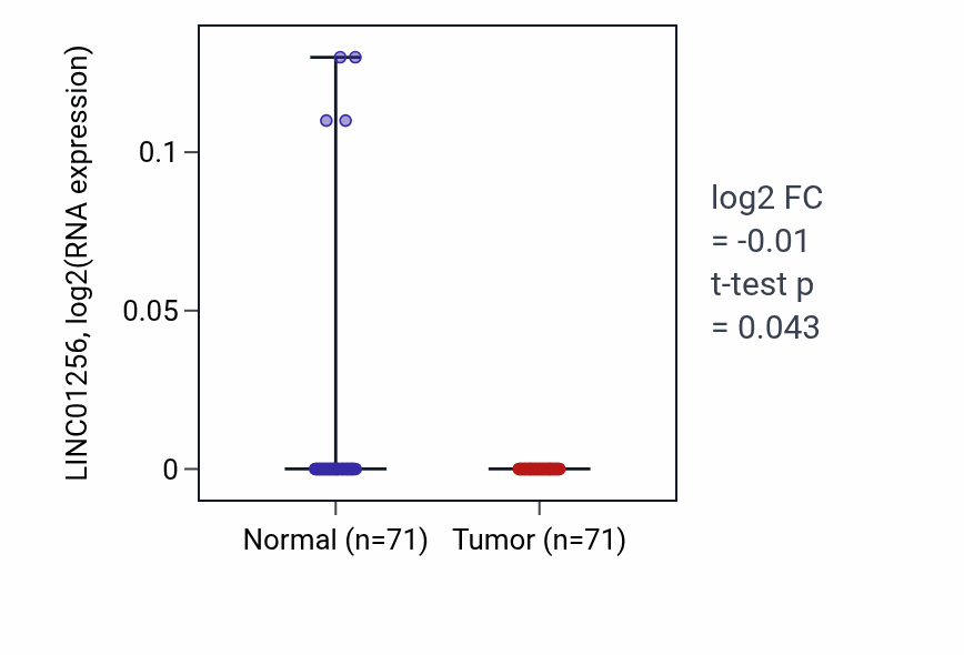 Tumor-vs-normal expression box plot for LINC01256 RNA in KIRC.