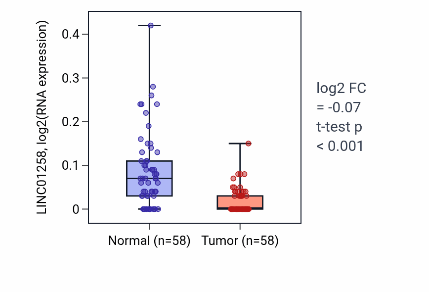 Tumor-vs-normal expression box plot for LINC01258 RNA in THCA.