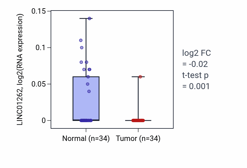 Tumor-vs-normal expression box plot for LINC01262 in KIRC.