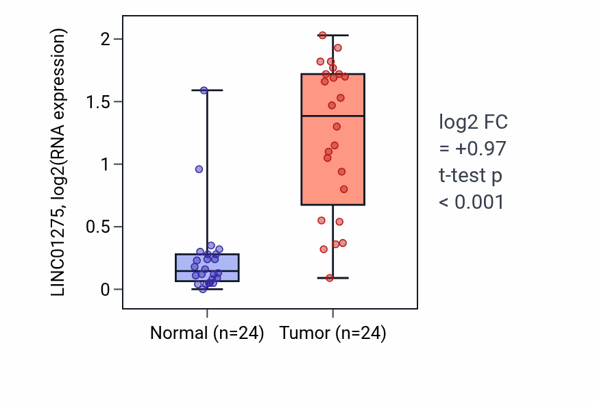 Tumor-vs-normal expression box plot for LINC01275 in KIRC.
