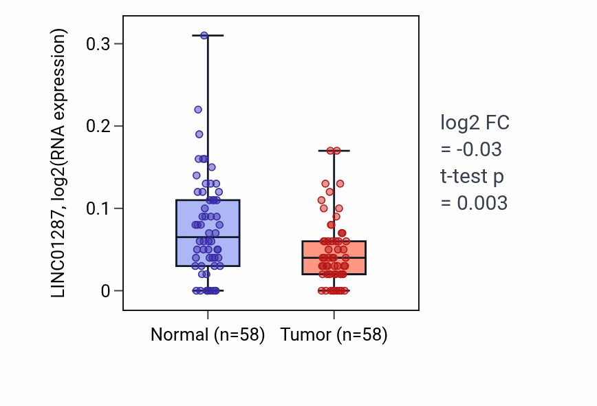 Tumor-vs-normal expression box plot for LINC01287 in THCA.