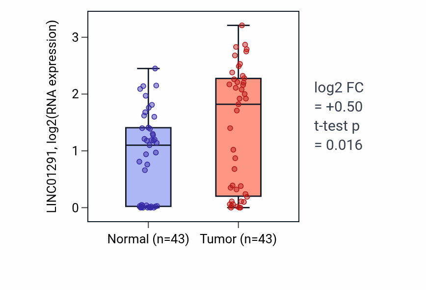 Tumor-vs-normal expression box plot for LINC01291 in HNSC.