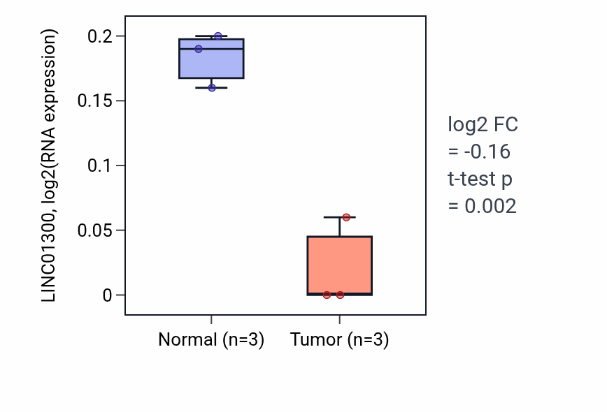 Tumor-vs-normal expression box plot for LINC01300 in THCA.