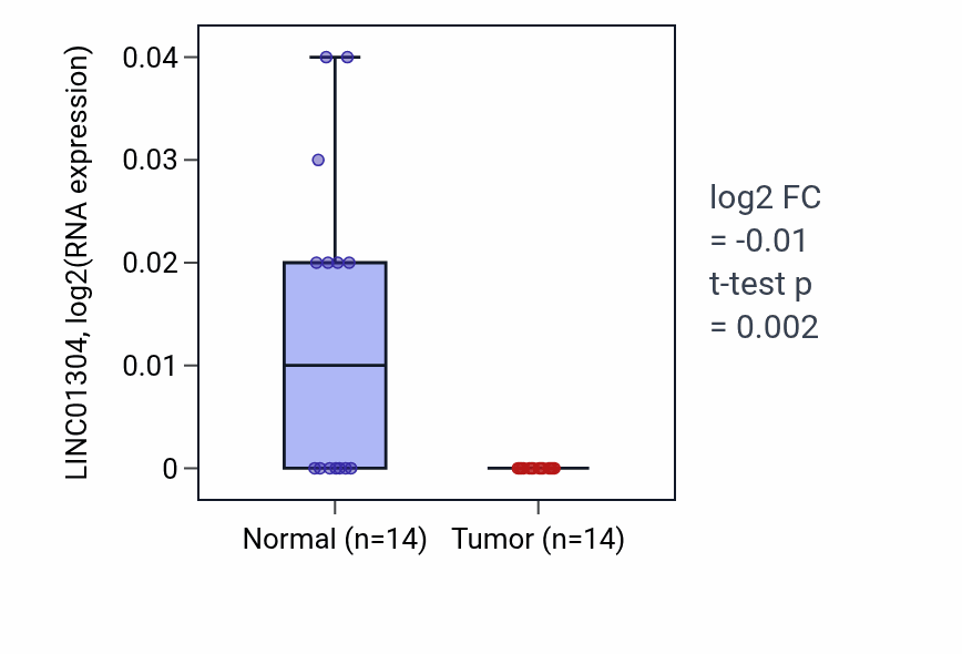 Tumor-vs-normal expression box plot for LINC01304 in THCA.