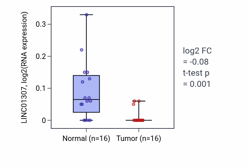 Tumor-vs-normal expression box plot for LINC01307 in THCA.