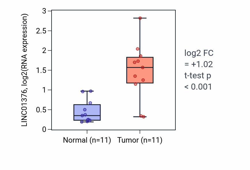 Tumor-vs-normal expression box plot for LINC01376 in HNSC.
