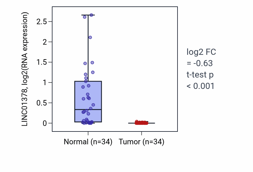 Tumor-vs-normal expression box plot for LINC01378 in KIRC.