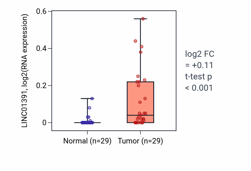 Tumor-vs-normal expression box plot for LINC01391 RNA in HNSC.