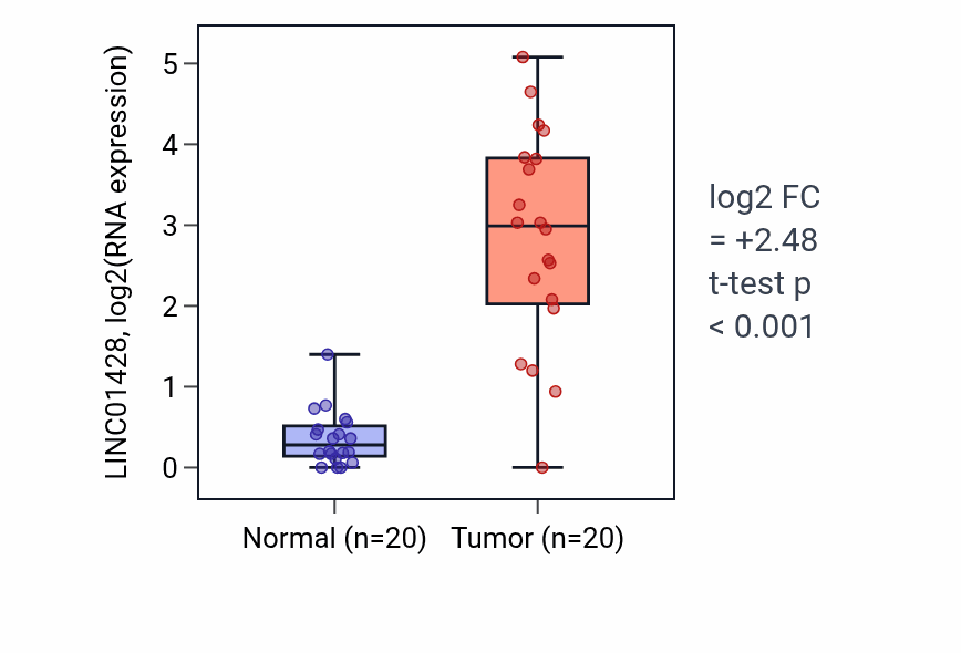 Tumor-vs-normal expression box plot for LINC01428 in KIRC.