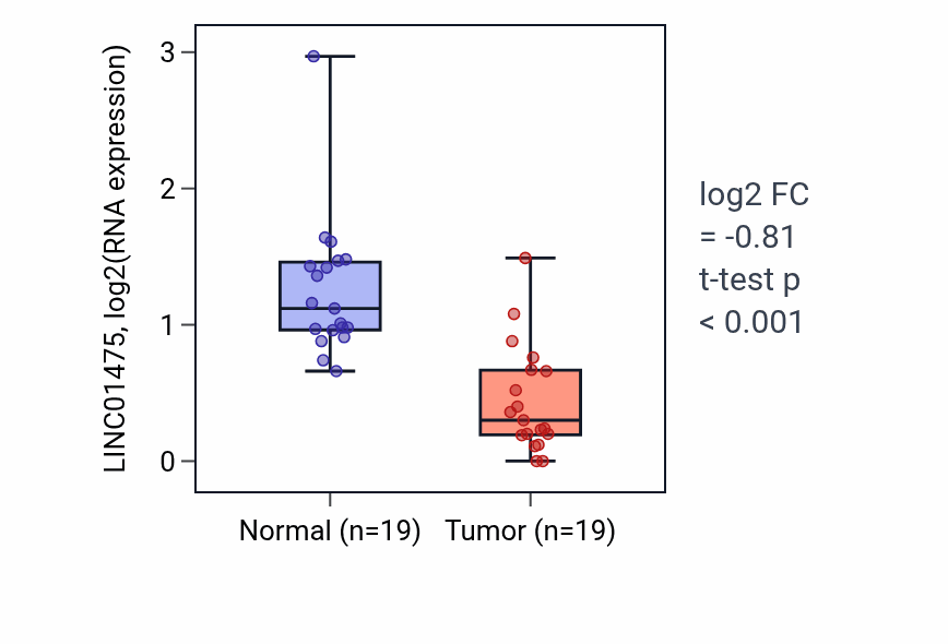 Tumor-vs-normal expression box plot for LINC01475 in COAD.