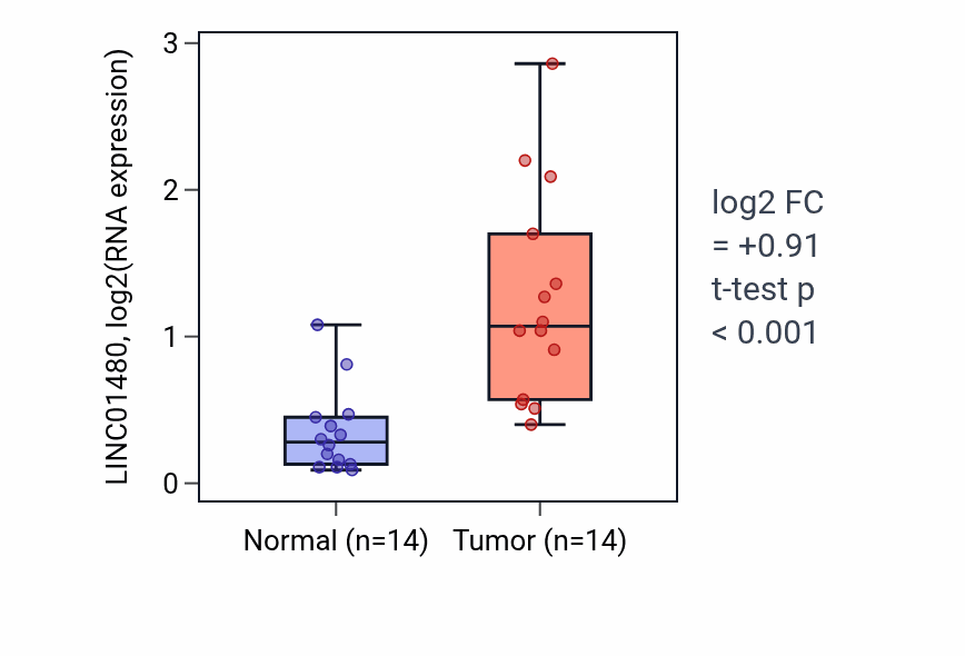 Tumor-vs-normal expression box plot for LINC01480 RNA in KIRC.