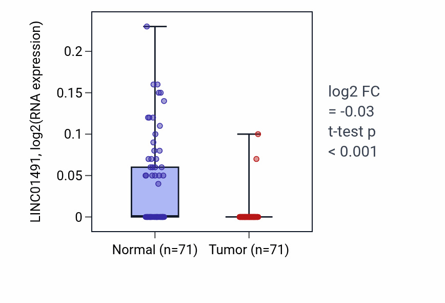 Tumor-vs-normal expression box plot for LINC01491 RNA in KIRC.