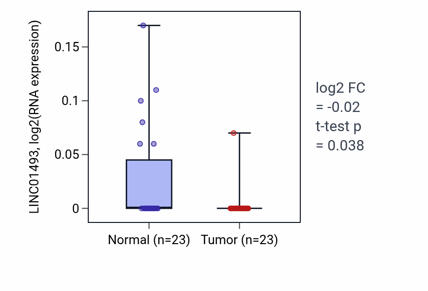 Tumor-vs-normal expression box plot for LINC01493 RNA in THCA.