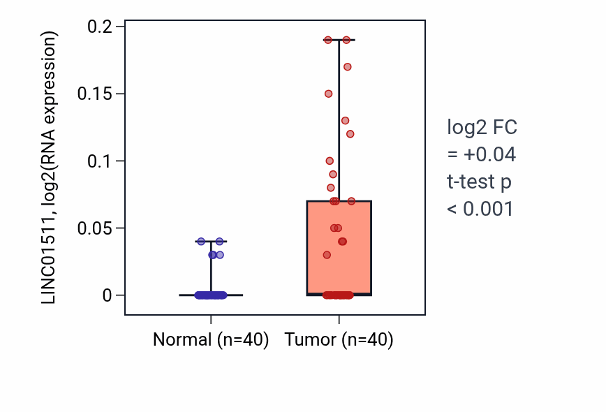 Tumor-vs-normal expression box plot for LINC01511 RNA in HNSC.