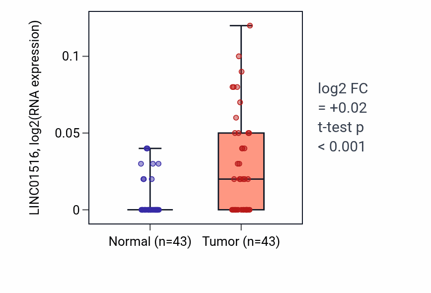 Tumor-vs-normal expression box plot for LINC01516 RNA in HNSC.