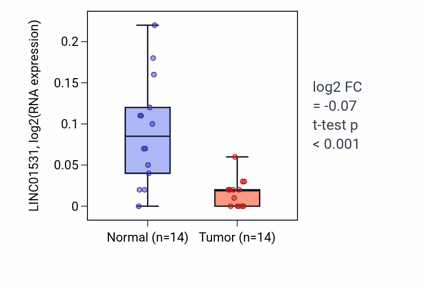 Tumor-vs-normal expression box plot for LINC01531 in THCA.