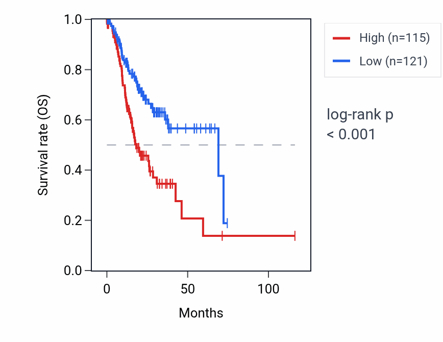 Kaplan&ndash;Meier survival curve for LINC01537 RNA expression in STAD: high vs low expression groups.