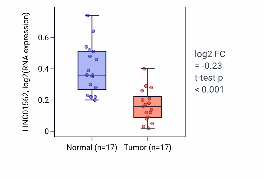 Tumor-vs-normal expression box plot for LINC01562 in THCA.