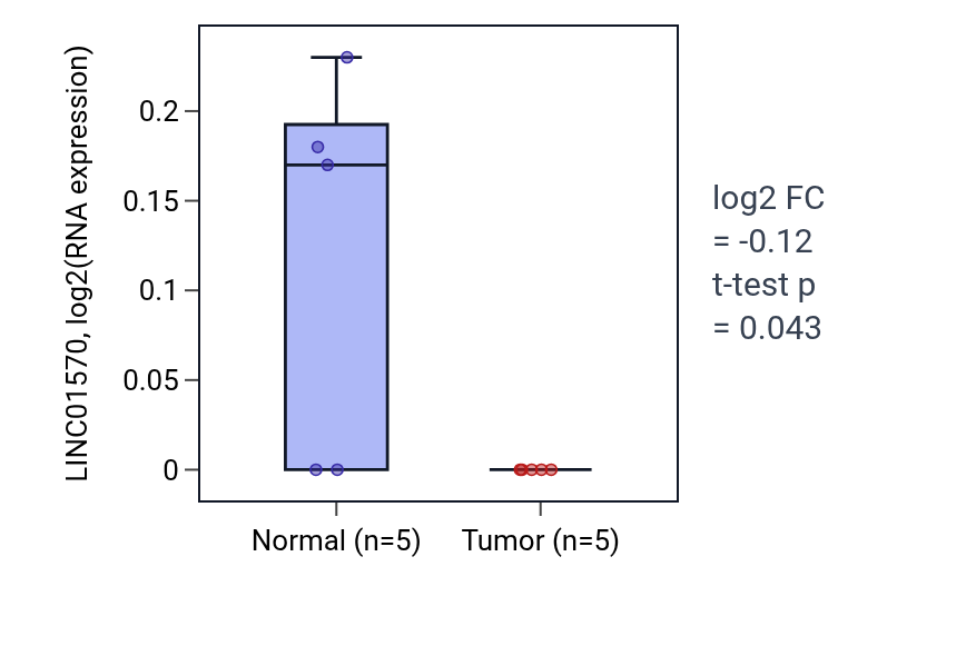 Tumor-vs-normal expression box plot for LINC01570 in COAD.