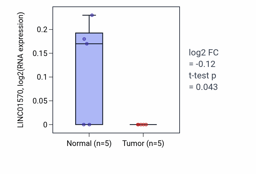 Tumor-vs-normal expression box plot for LINC01570 RNA in COAD.