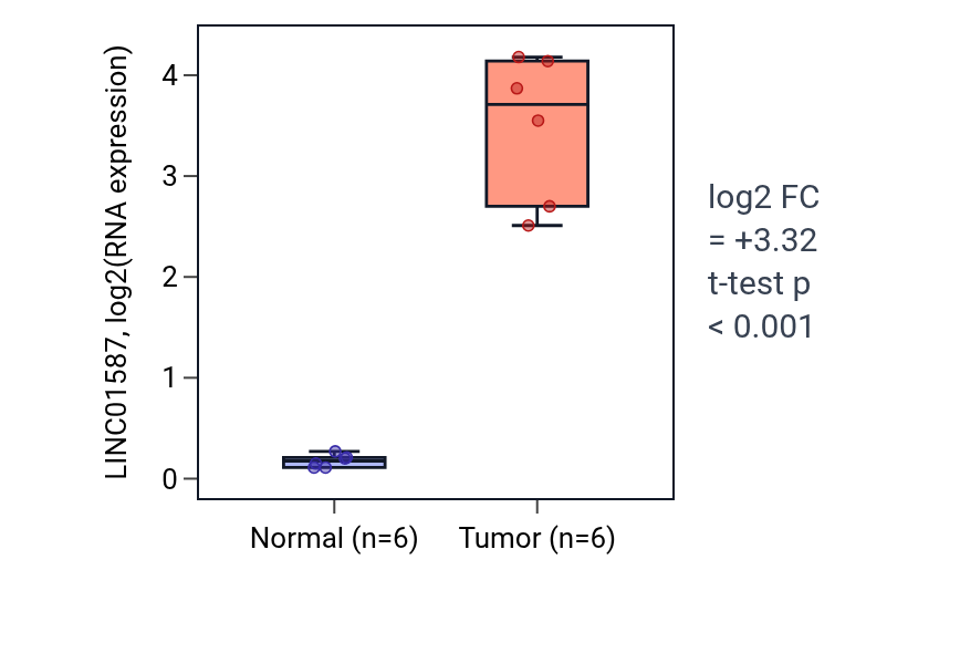 Tumor-vs-normal expression box plot for LINC01587 in KIRC.