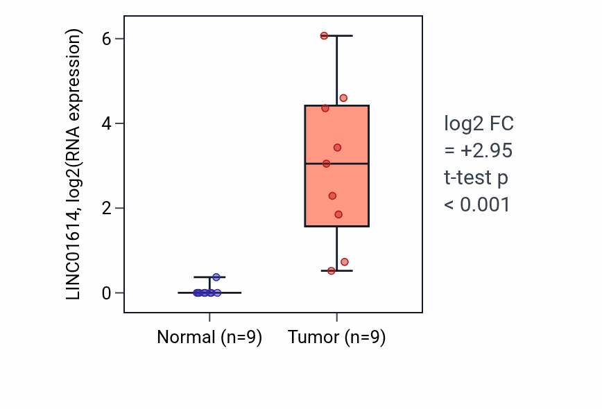 Tumor-vs-normal expression box plot for LINC01614 RNA in HNSC.