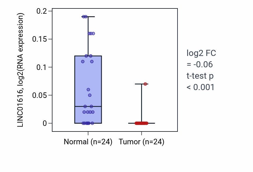 Tumor-vs-normal expression box plot for LINC01616 in KIRC.