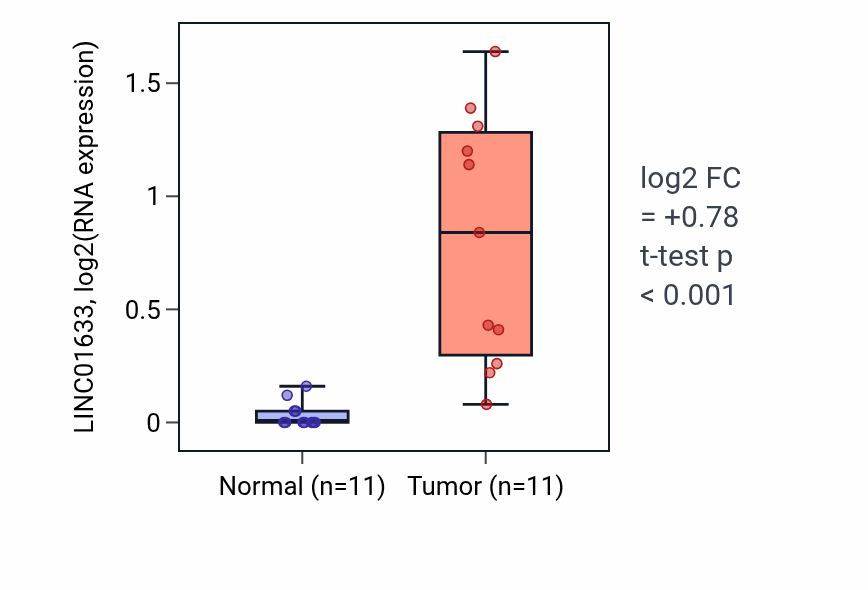 Tumor-vs-normal expression box plot for LINC01633 in HNSC.