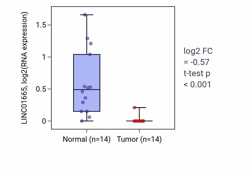 Tumor-vs-normal expression box plot for LINC01665 in KIRC.
