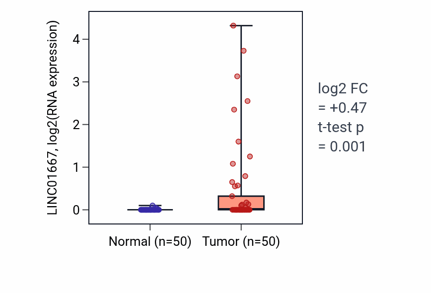 Tumor-vs-normal expression box plot for LINC01667 in LIHC.