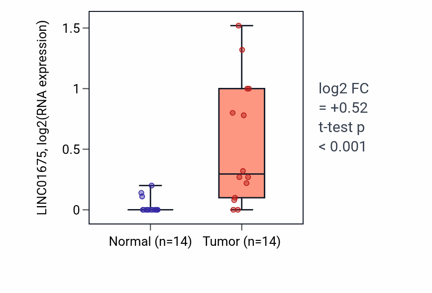 Tumor-vs-normal expression box plot for LINC01675 in KIRC.