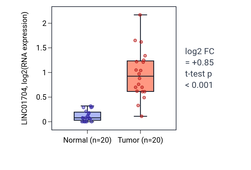 Tumor-vs-normal expression box plot for LINC01704 in KIRC.