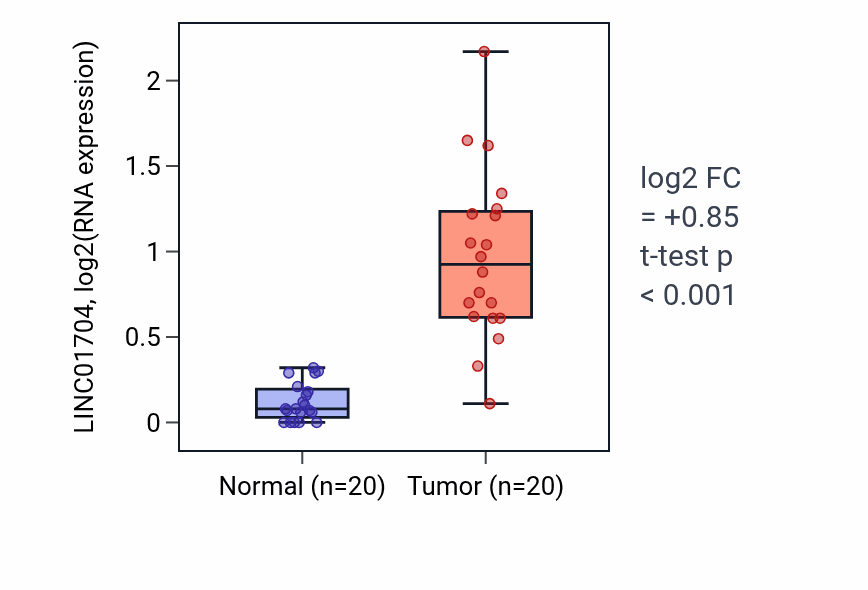 Tumor-vs-normal expression box plot for LINC01704 RNA in KIRC.